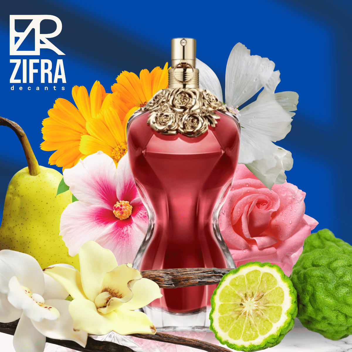 La Belle - Jean Paul Gaultier - Zifra Decants